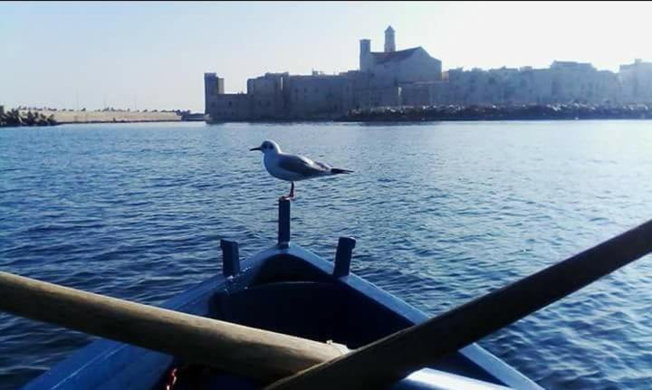 Il Da Vinci Casa Vacanze Giovinazzo Buitenkant foto